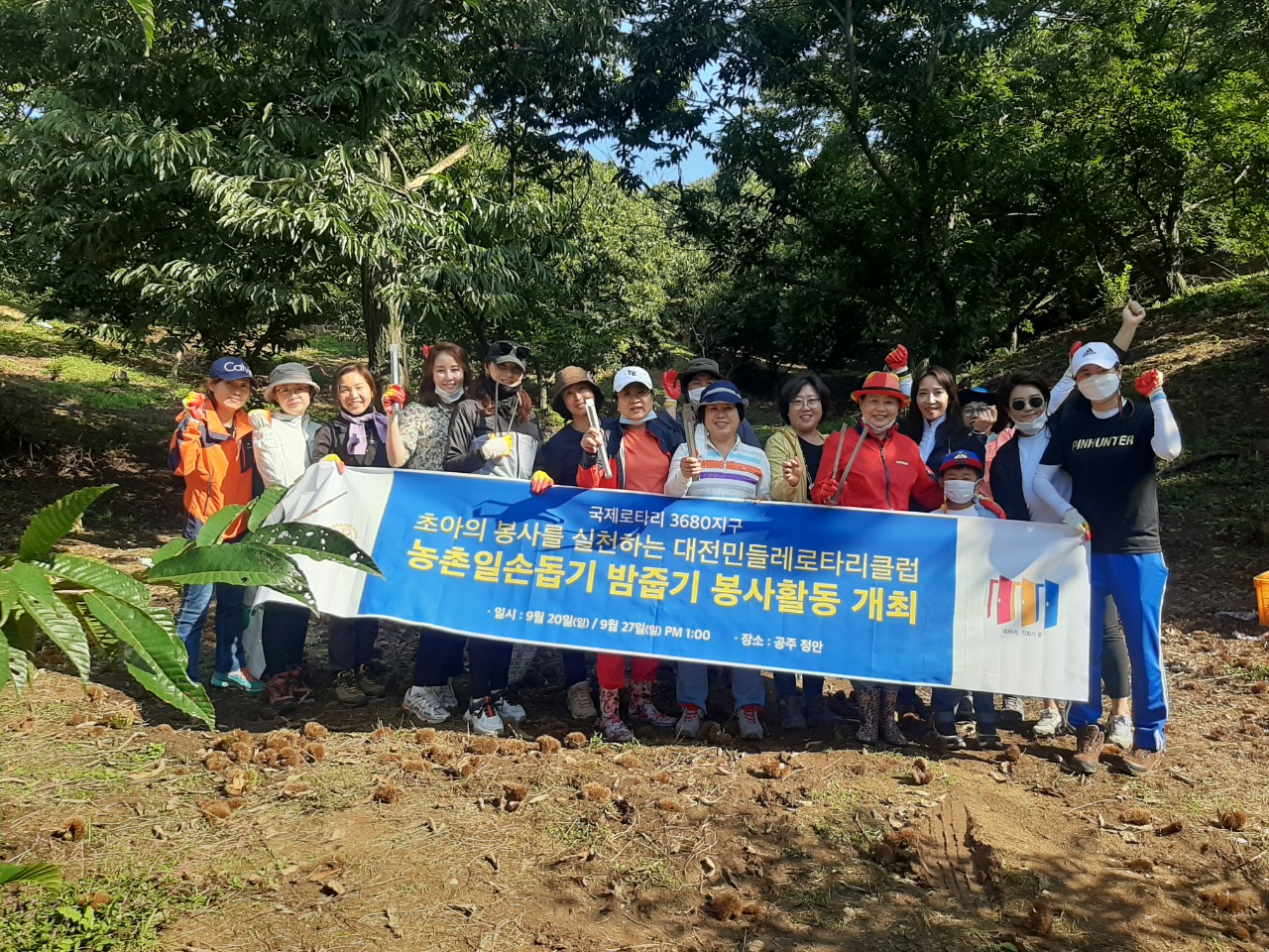 ﻿대전민들레 로타리 클럽   공주 정안 밤농장에서 일손돕기봉사 펼쳐   